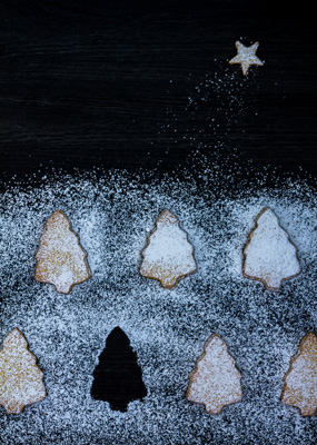 Christmas biscuit